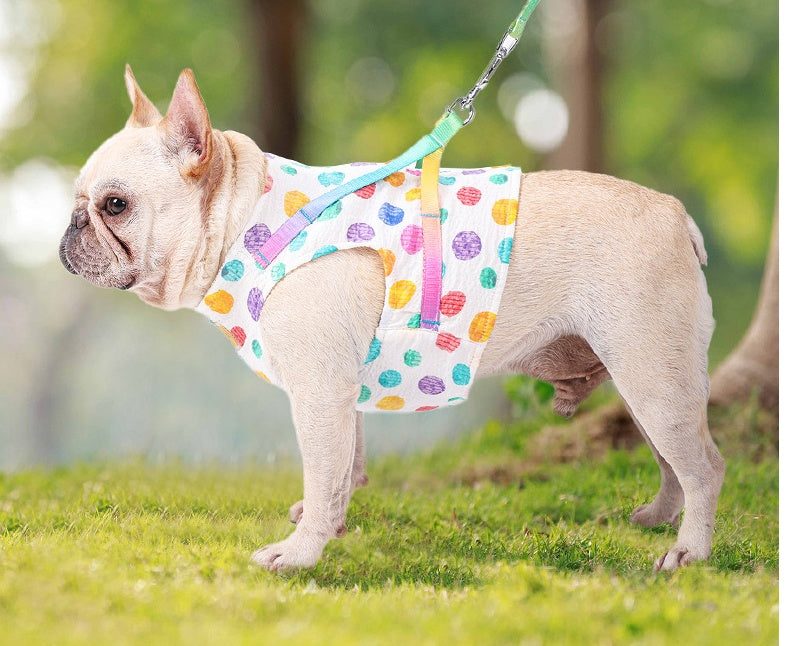 Small Medium Pet Chest Harness Leash Set