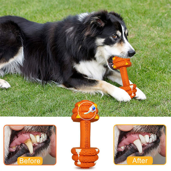 Durable Interactive Pet Chew Dental Cleaning Toy
