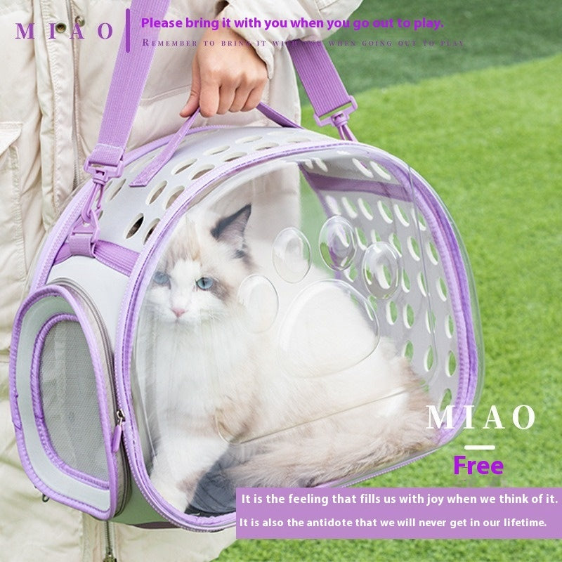 Pet Transparent Space Capsule Backpack Travel Carrier