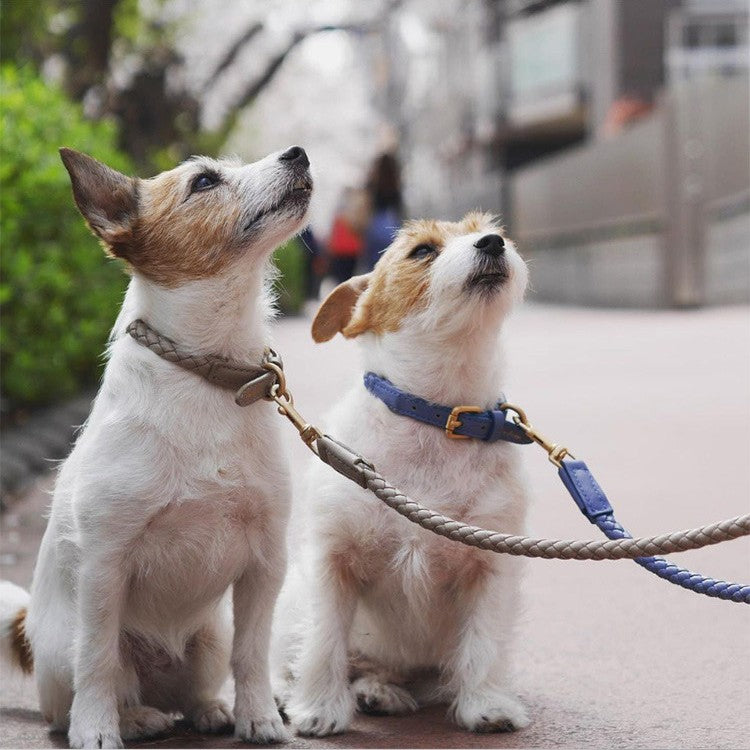 Premium Durable Pet Collar Strong Adjustable Neck Band