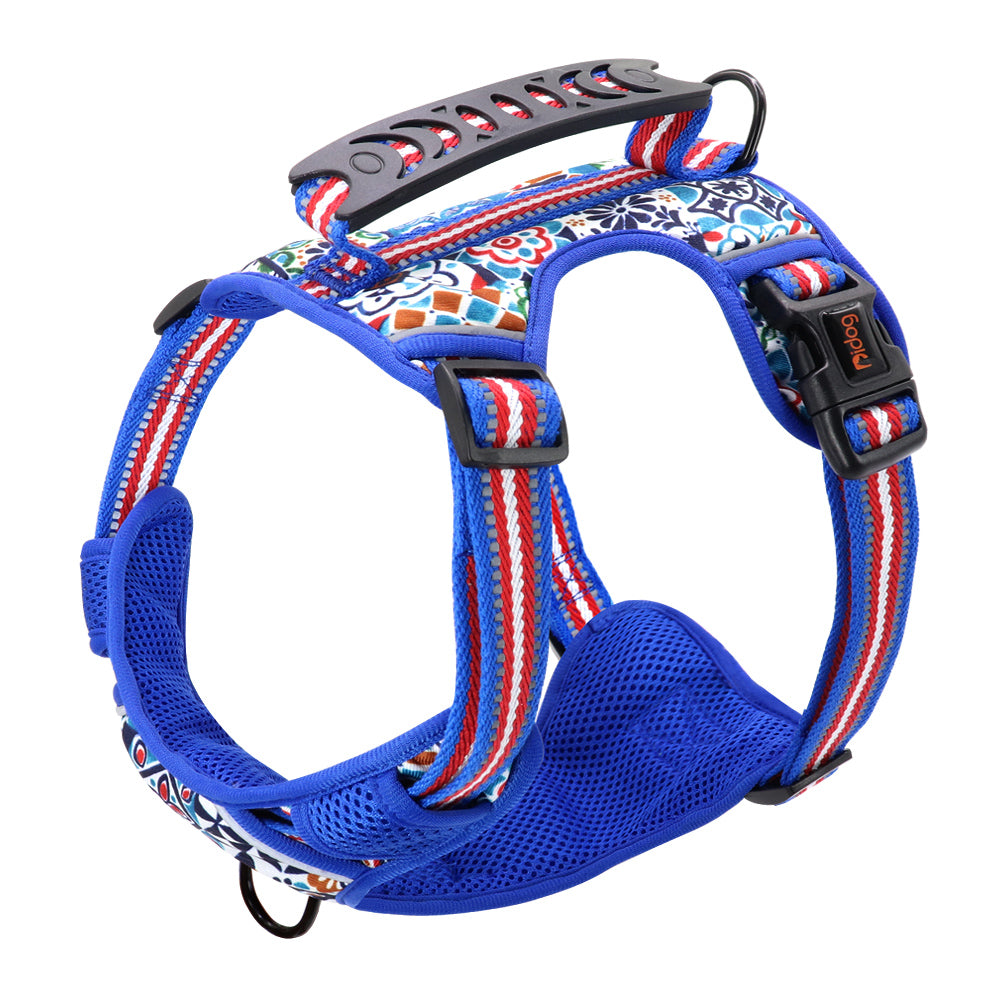 Adjustable Pet Leash And Chest Harness Set