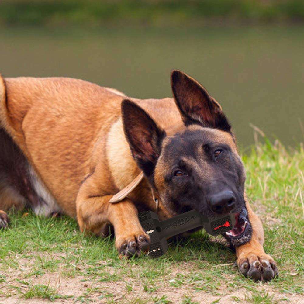 Durable Interactive Pet Chew Dental Cleaning Toy