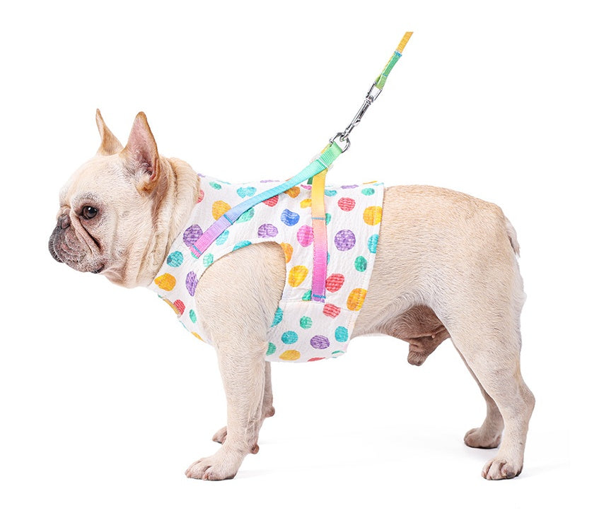 Small Medium Pet Chest Harness Leash Set