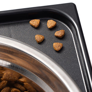 Pet Adjustable Feeding Bowl Neck Protection Anti Spill Bowl