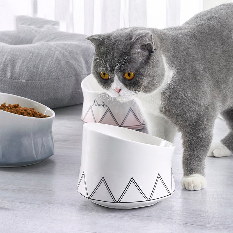 Ceramic Pet Feeding Bowl Dish Set