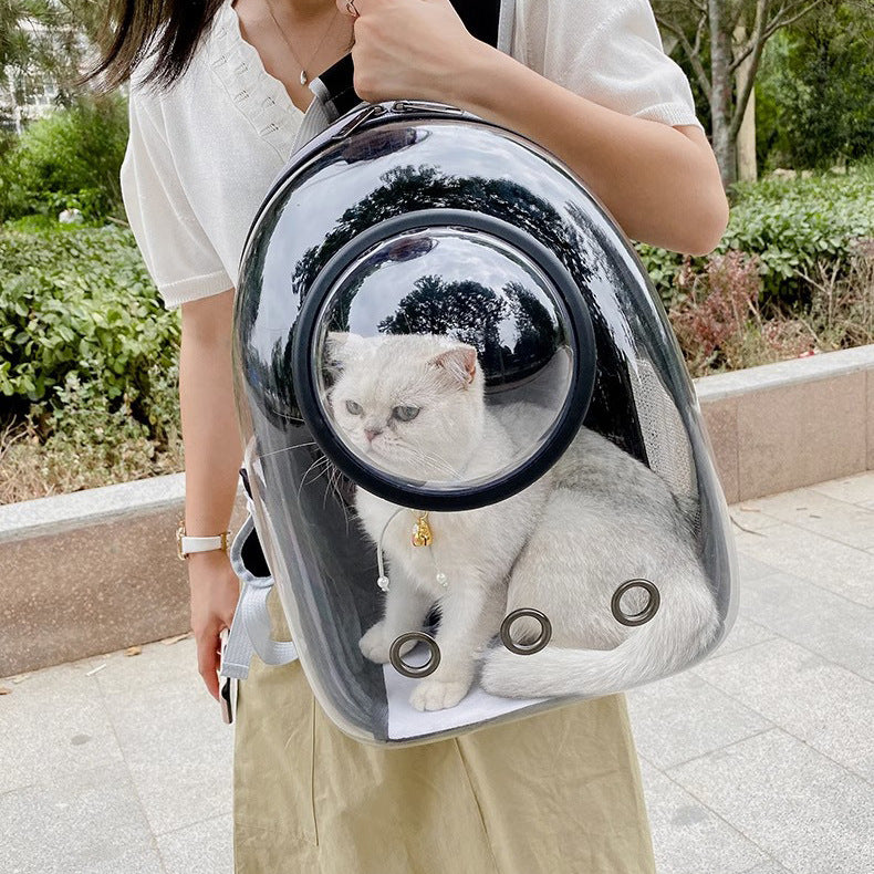 Pet Transparent Skylight Breathable Large Capacity Backpack Carrier
