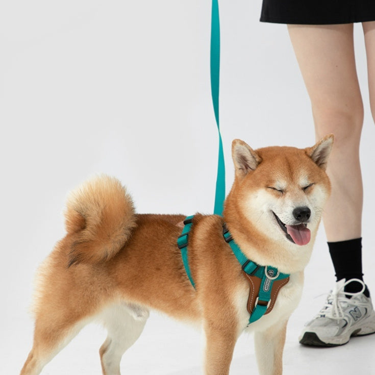 Explosion Proof Multifunctional Pet Rope Leash Chest Strap