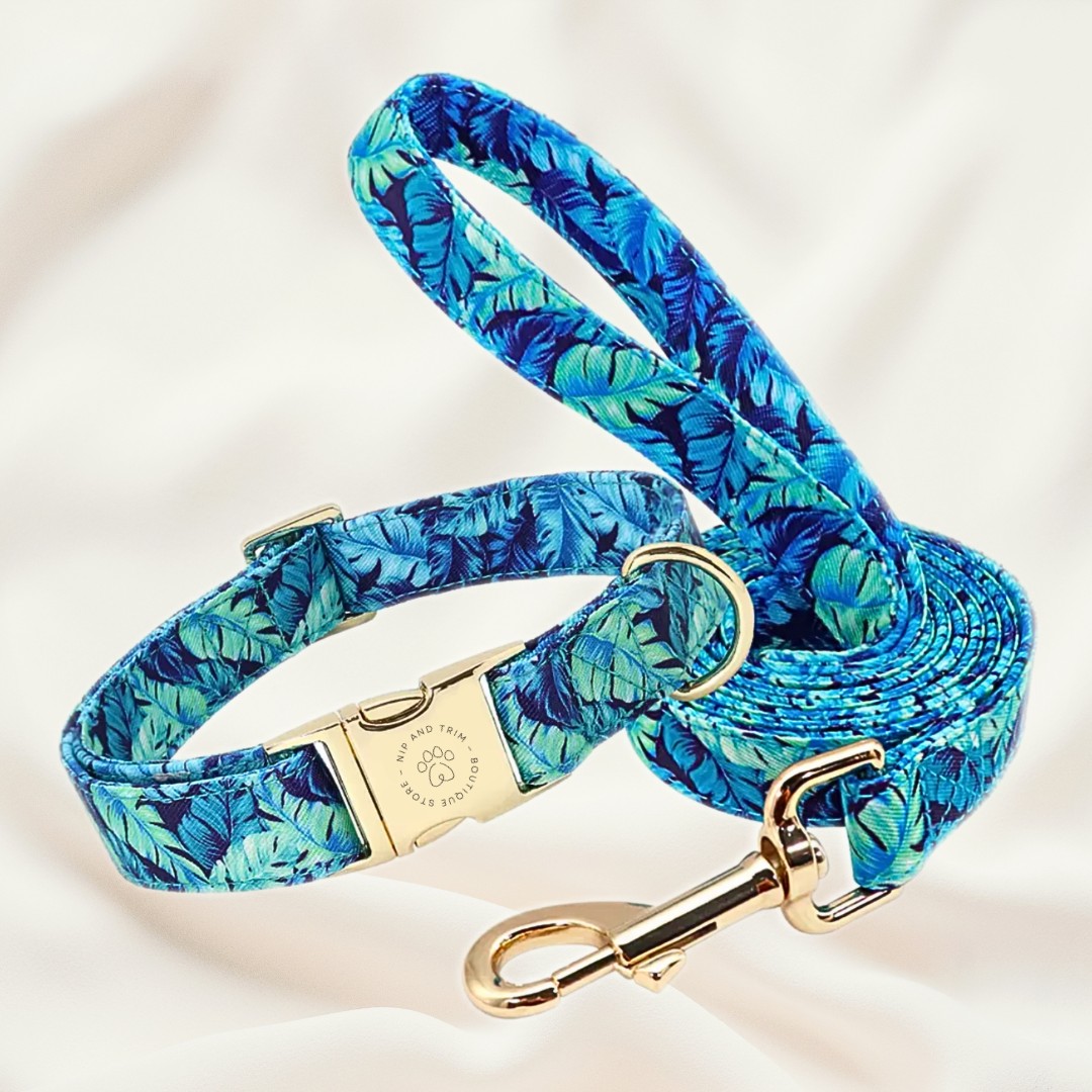 Custom Pet Collar Name Tag Identity Card Lettered