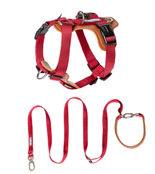 Explosion Proof Multifunctional Pet Rope Leash Chest Strap