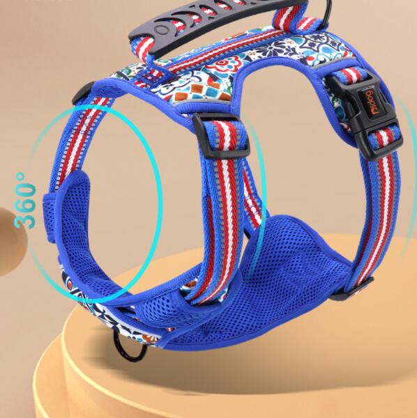 Adjustable Pet Leash And Chest Harness Set