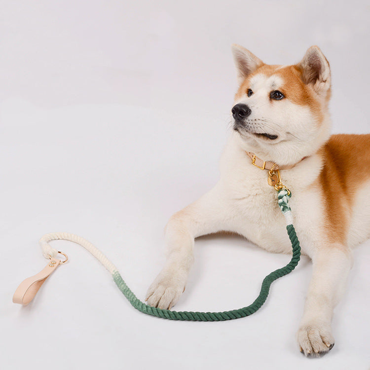 Gradient Rainbow Pet Traction Leash Colorful Walking Lead