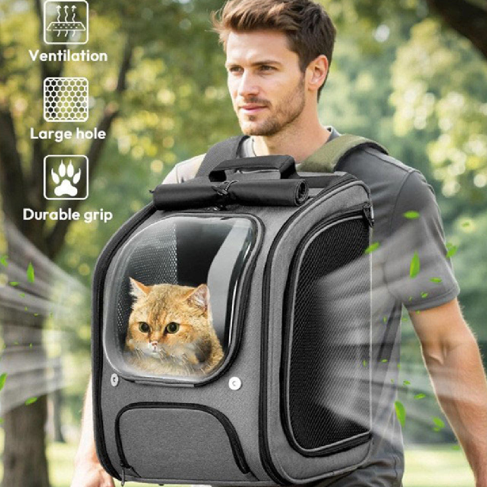 Portable Airline Approved Pet Fashion Backpack Carrier