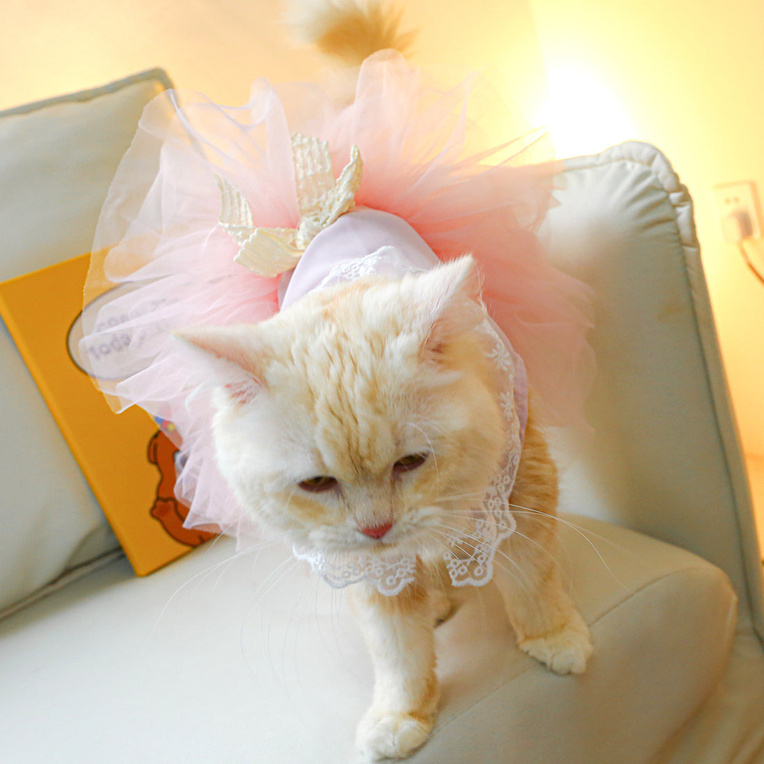 Pet Lace Clothing Elegant Pet Apparel