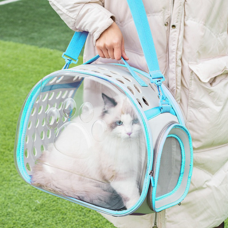 Pet Transparent Space Capsule Backpack Travel Carrier