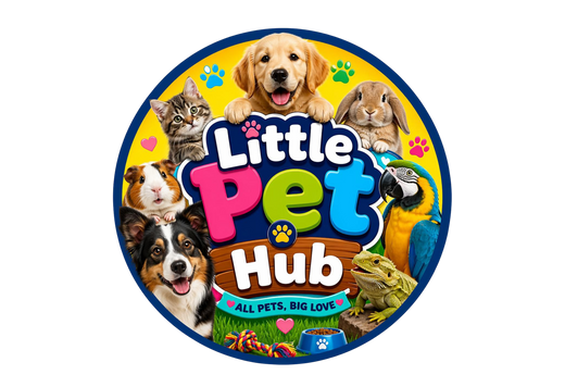 Little Pet Hub 