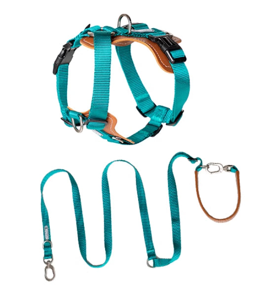 Explosion Proof Multifunctional Pet Rope Leash Chest Strap