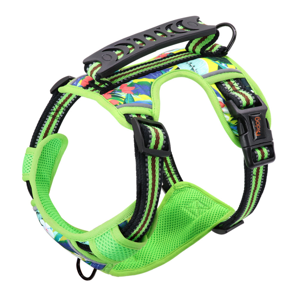 Adjustable Pet Leash And Chest Harness Set