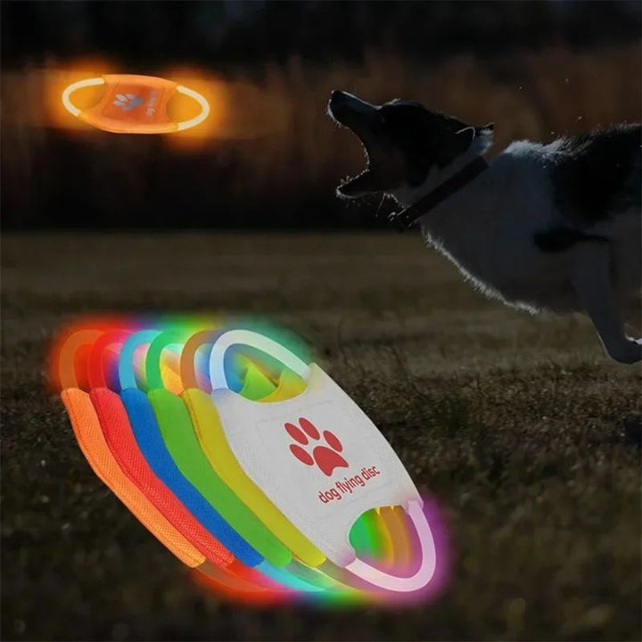 LED Glowing Pet Flying Disc Training Interactive Toy