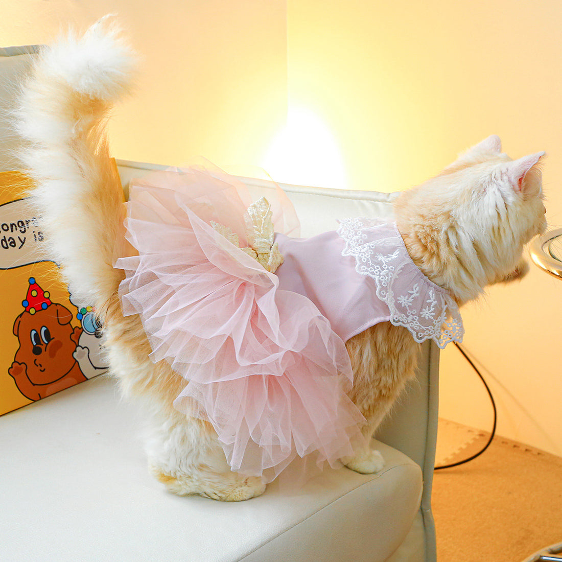 Pet Lace Clothing Elegant Pet Apparel