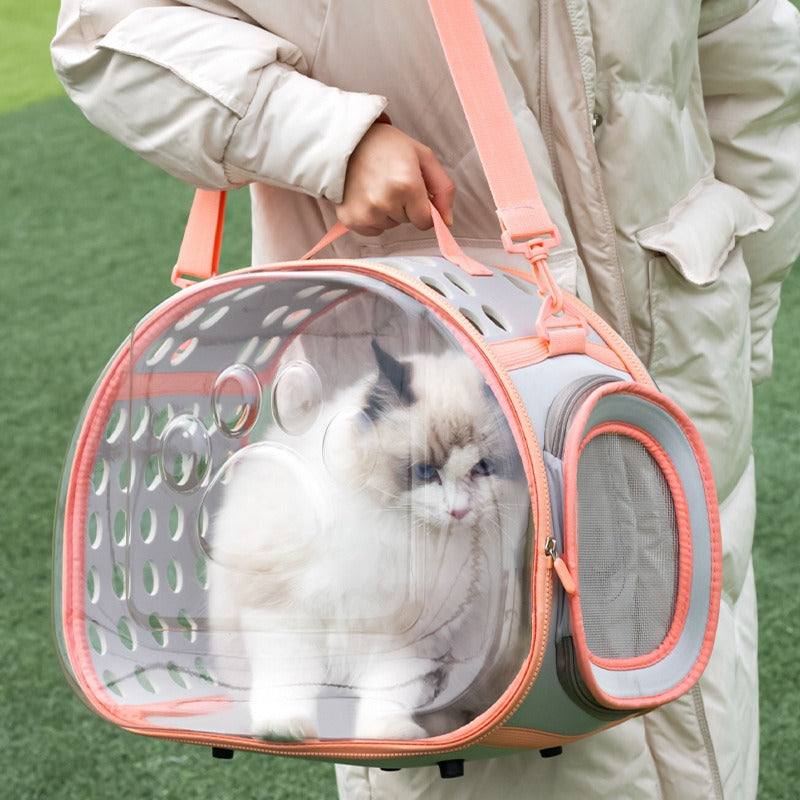 Pet Transparent Space Capsule Backpack Travel Carrier