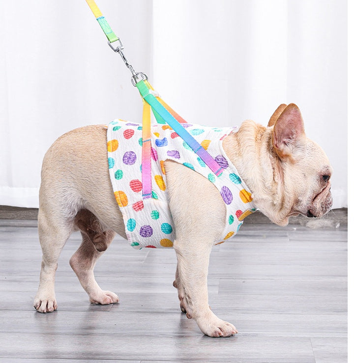 Small Medium Pet Chest Harness Leash Set