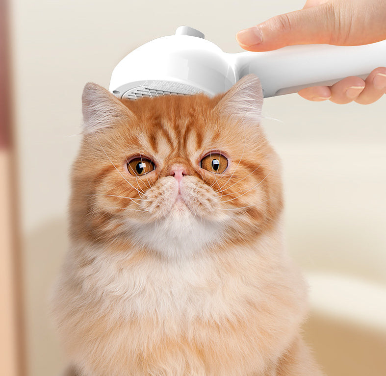 Self Cleaning Pet Hair Remover Brush With Mist Grooming Tool
