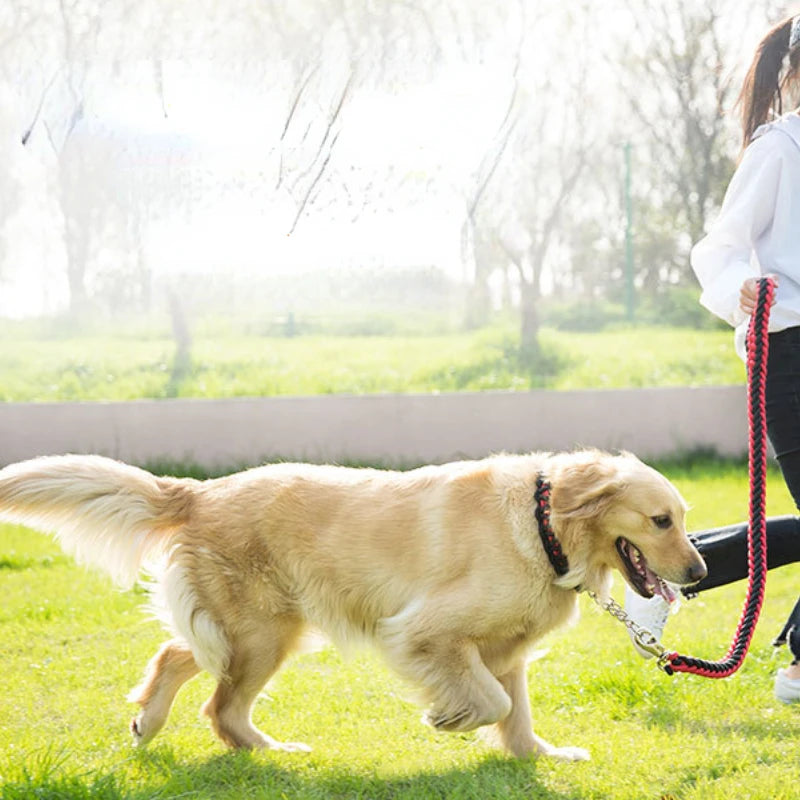 Heavy Duty Nylon Braided Pet Collar And Training Leash