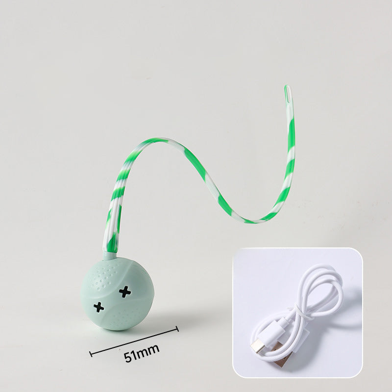 Interactive Electric Pet Motion Sensor Rolling Ball Toy