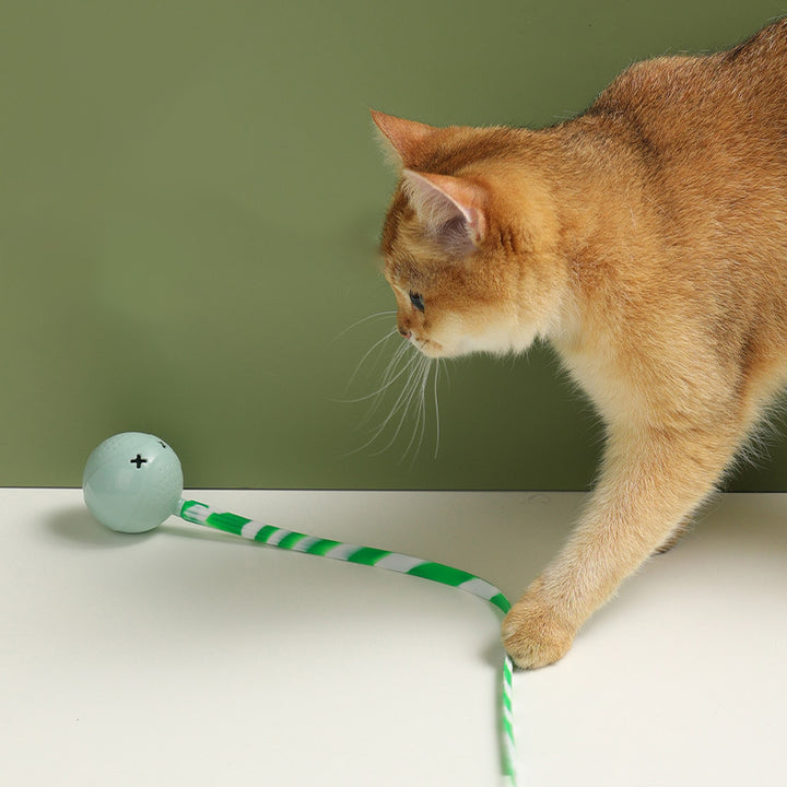 Interactive Electric Pet Motion Sensor Rolling Ball Toy