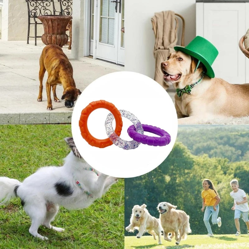 Floating Water Pet Flying Disk Training Ring Toy