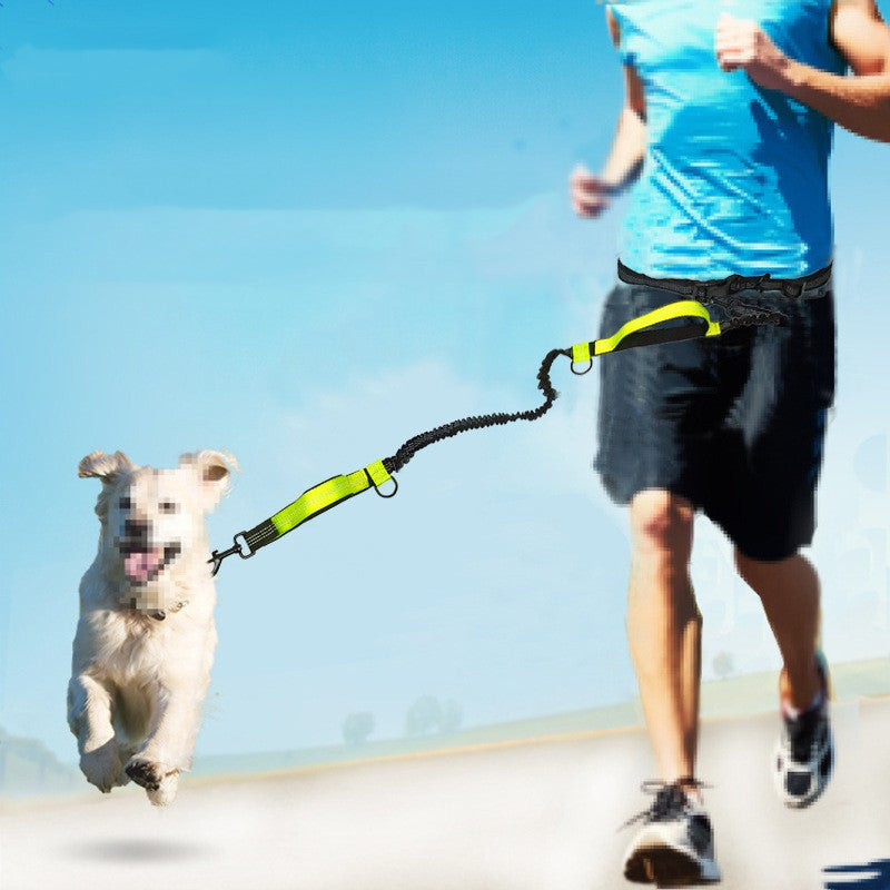 Reflective Telescopic Double Pet Leash Running Lead Rope