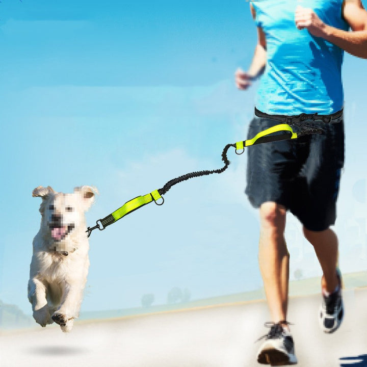 Reflective Telescopic Double Pet Leash Running Lead Rope
