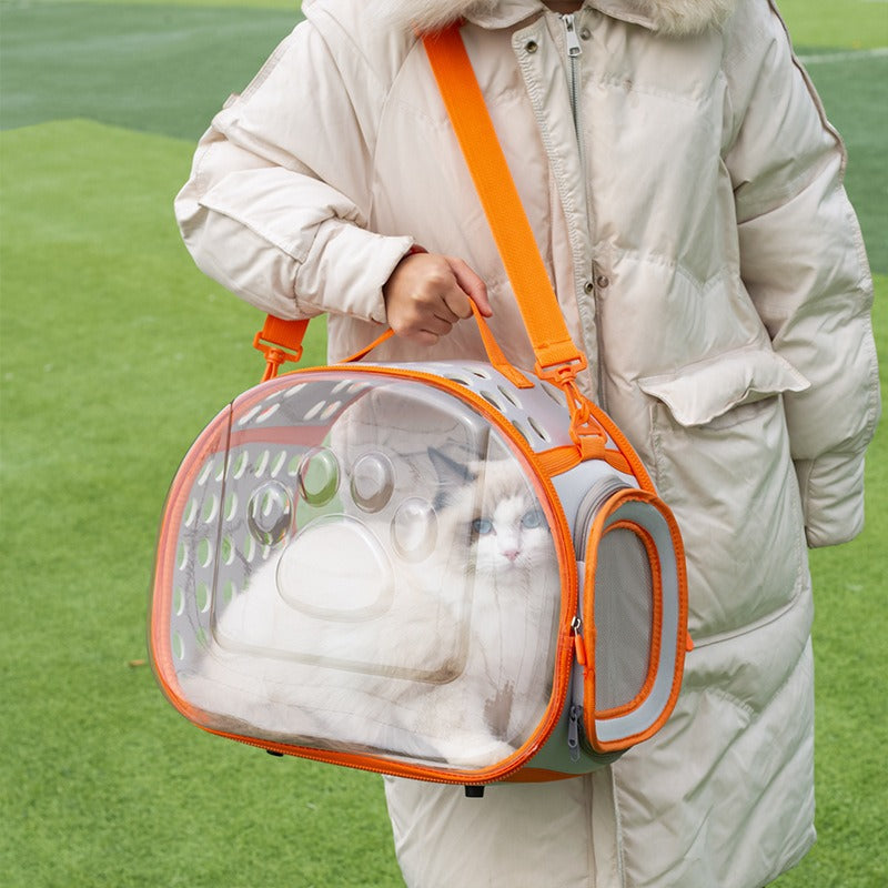 Pet Transparent Space Capsule Backpack Travel Carrier