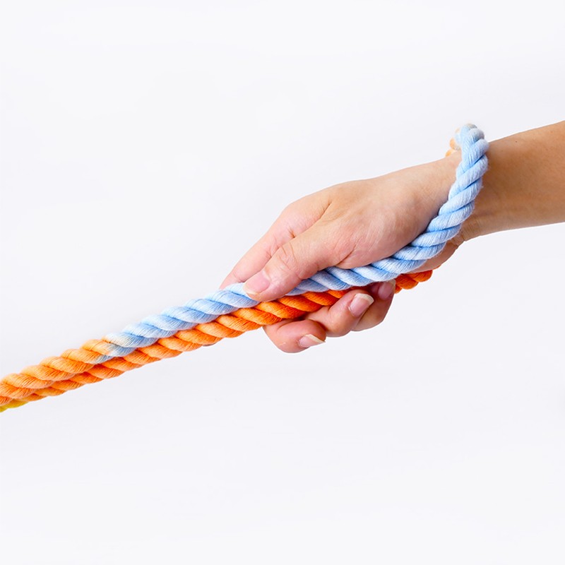 Dual Head Multifunctional Pet Leash Traction Rope