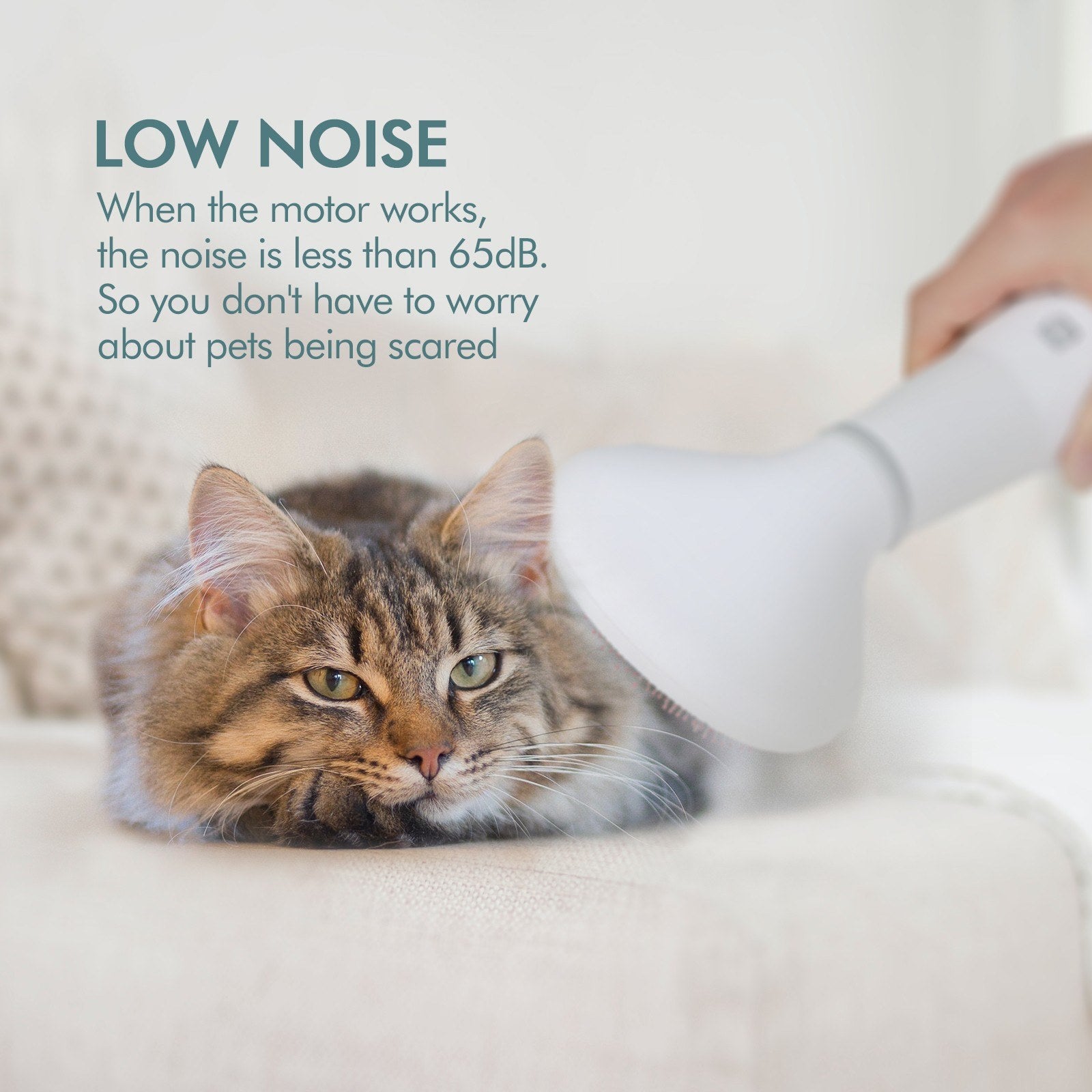 Pet Grooming Dryer Brush Hair Care Tool