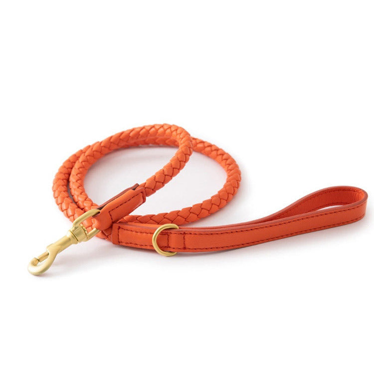 Premium Durable Pet Collar Strong Adjustable Neck Band