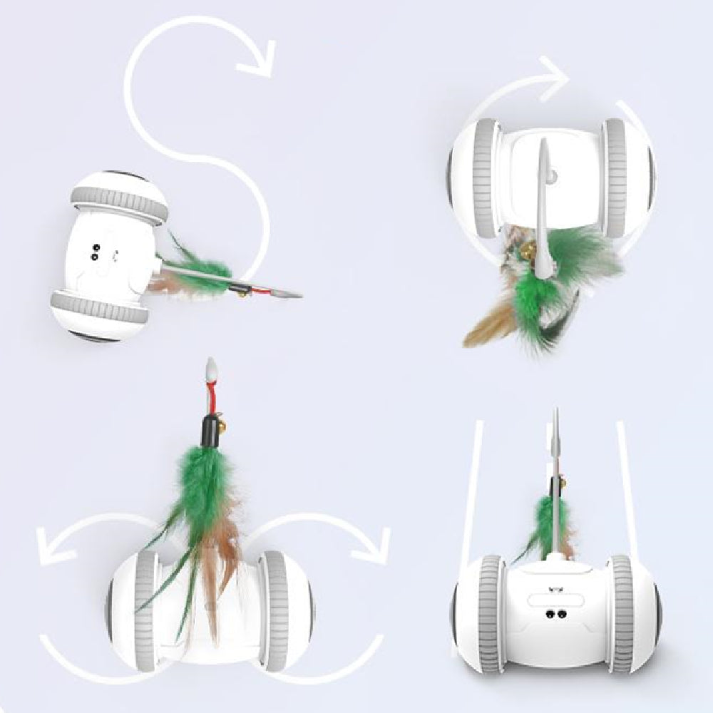 Interactive Pet Toy Interchangeable Feather Heads