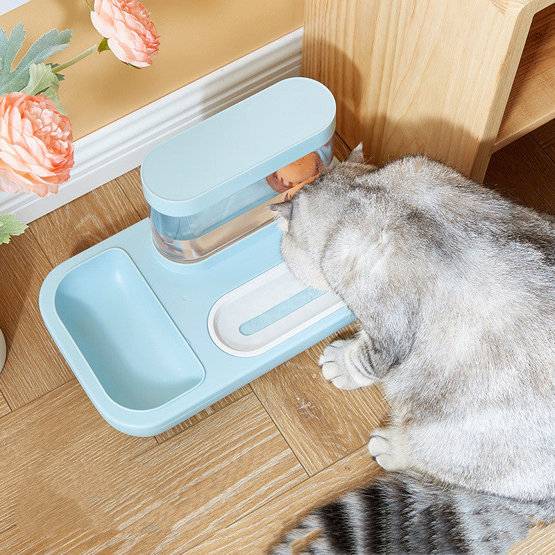 Anti Overturning Pet Automatic Drinking Fountain Feeding Bowl