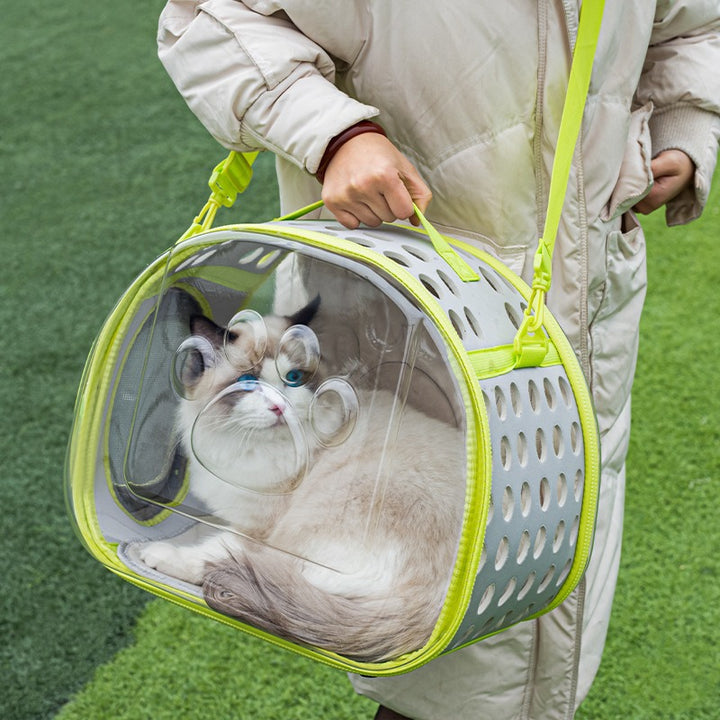 Pet Transparent Space Capsule Backpack Travel Carrier
