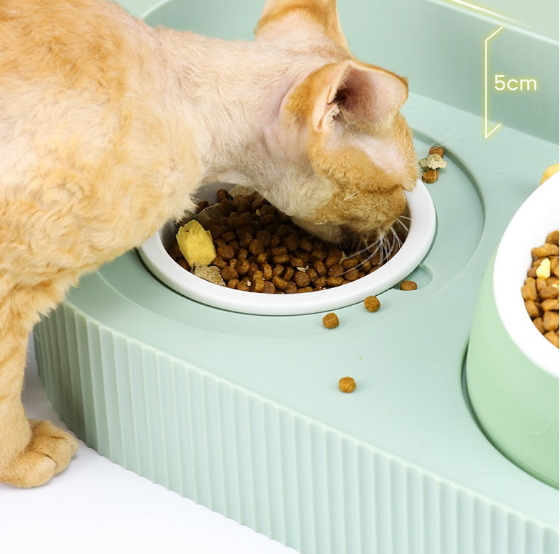 Pet Ceramic Food Bowl Neck Protection Feeding Dish