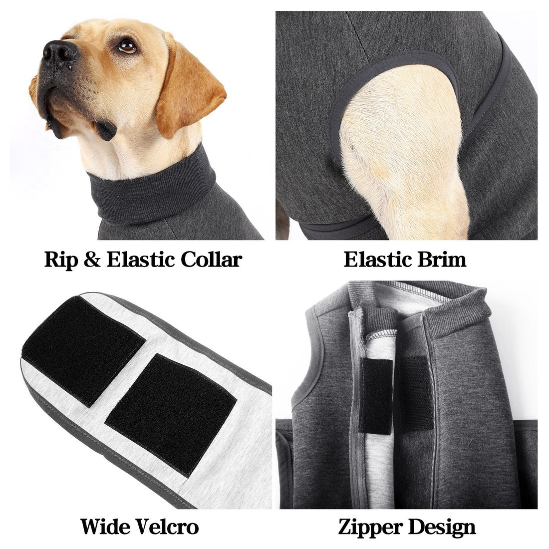 Pet Polyester Cotton Emotional Comfort Double Jacket Apparel