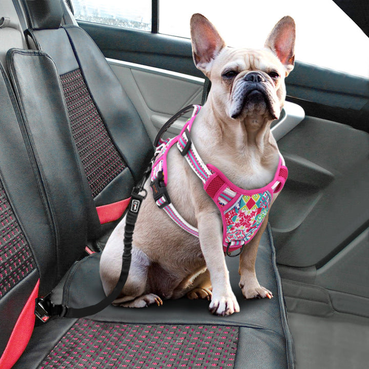 Adjustable Pet Leash And Chest Harness Set