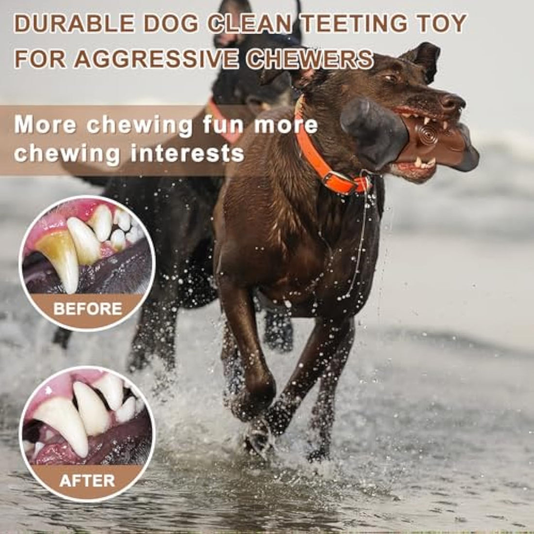 Durable Indestructible Pet Chew Toy Bacon Flavor Large Breed