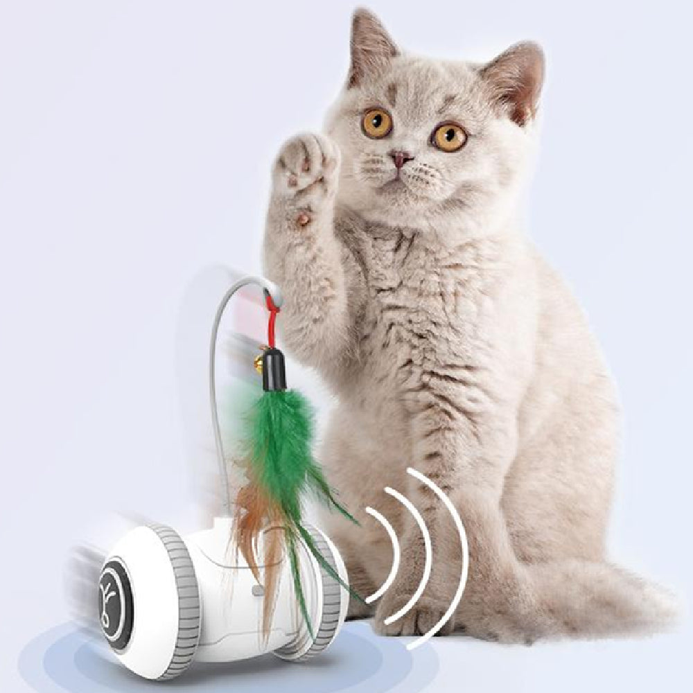 Interactive Pet Toy Interchangeable Feather Heads